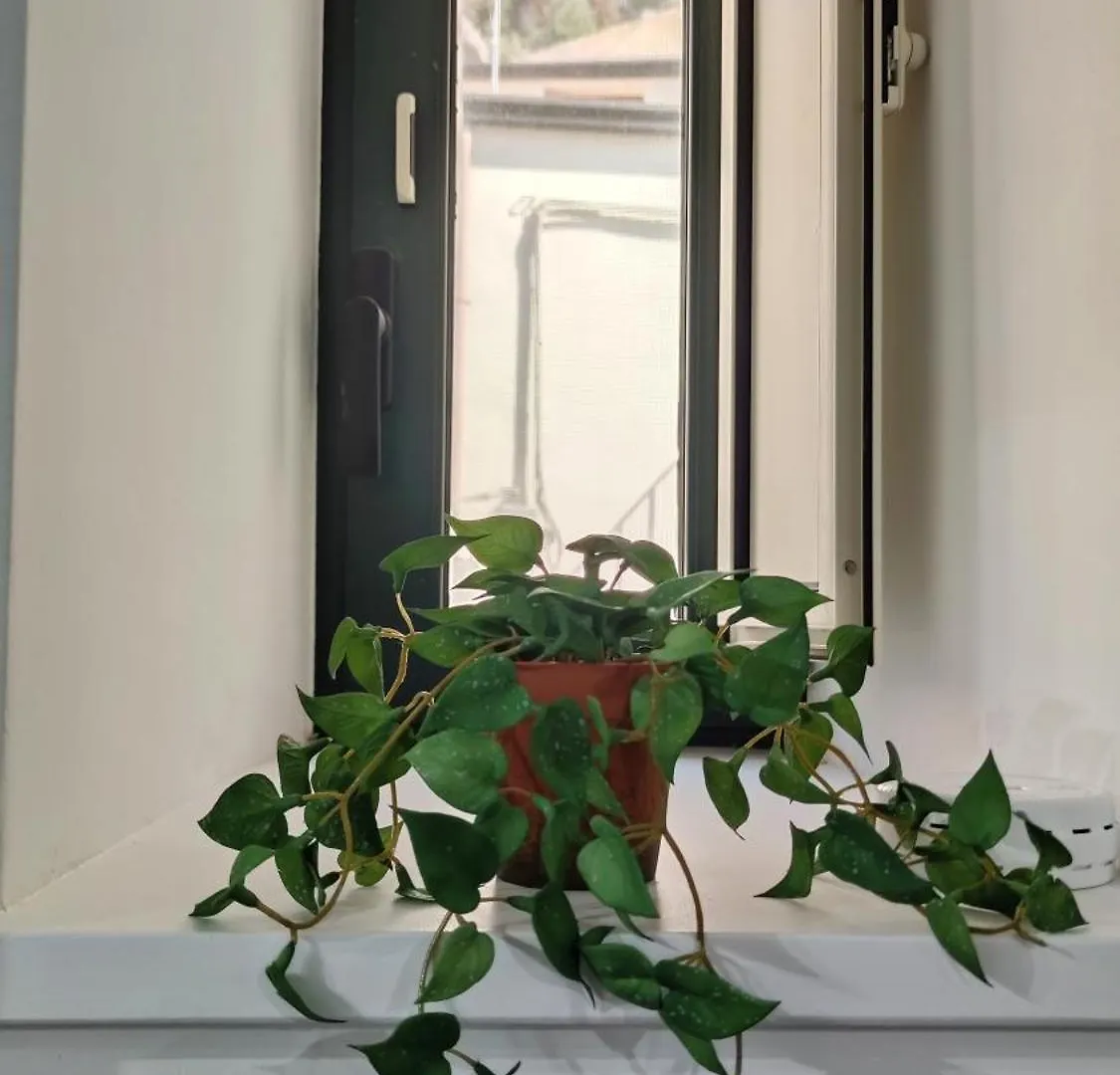 Casa Vacanze Da Nene Cefalú